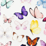 Renkli Kelebekler Sticker Paketi 22 Parça Kaliteli Su Geçirmez Etiket Seti