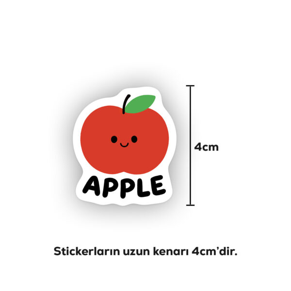 İngilizce Meyveler Sticker Paketi 22 Parça Kaliteli Su Geçirmez Etiket Seti
