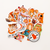 Turuncu kedi desenli 27 parça suya dayanıklı vinyl sticker paketi
