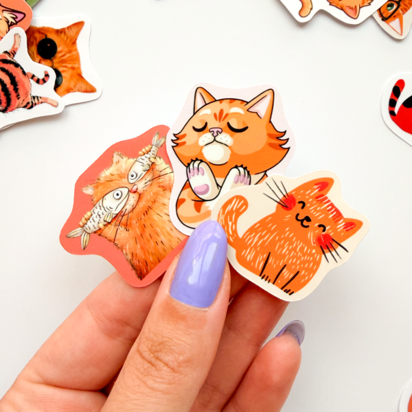 Turuncu Kediler 27 Parça Sticker Paketi Suya Dayanıklı Ajanda Laptop Termos Telefon Etiket Seti
