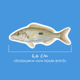 Balıklar 30 adet suya dayanıklı vinil sticker paketi