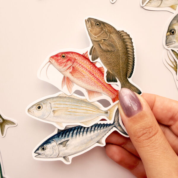 Balıklar 30 Adet Sticker Paketi Suya Dayanıklı Laptop Termos Telefon Etiket Seti