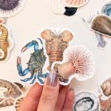 Baprile kabuklular ve ahtapotlar 30 adet suya dayanıklı sticker paketi
