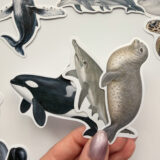 Baprile Marine Life koleksiyonu yunus balina deniz kaplumbağası vatoz sticker paketi 30 adet suya dayanıklı parlak vinil