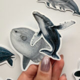Baprile Marine Life koleksiyonu yunus balina deniz kaplumbağası vatoz sticker paketi 30 adet suya dayanıklı parlak vinil