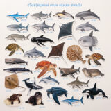 Baprile Marine Life koleksiyonu yunus balina deniz kaplumbağası vatoz sticker paketi 30 adet suya dayanıklı parlak vinil