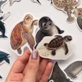 Baprile Marine Life koleksiyonu yunus balina deniz kaplumbağası vatoz sticker paketi 30 adet suya dayanıklı parlak vinil
