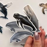 Baprile Marine Life koleksiyonu yunus balina deniz kaplumbağası vatoz sticker paketi 30 adet suya dayanıklı parlak vinil