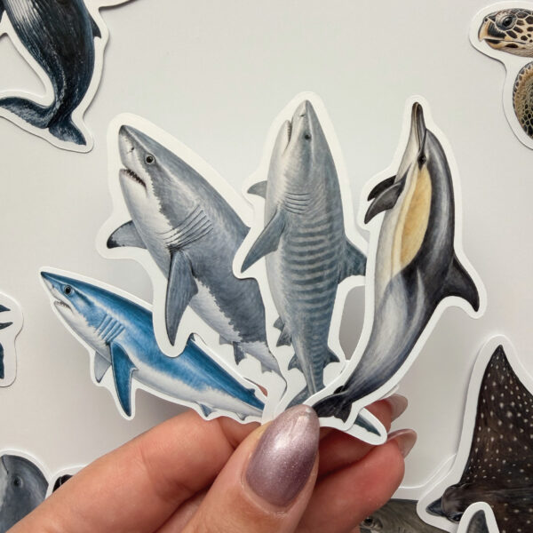 Yunuslar, Balinalar, Deniz Kaplumbağaları, Vatozlar 30 Adet Sticker Paketi Suya Dayanıklı Laptop Termos Telefon Etiket Seti