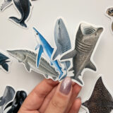 Baprile Marine Life koleksiyonu yunus balina deniz kaplumbağası vatoz sticker paketi 30 adet suya dayanıklı parlak vinil