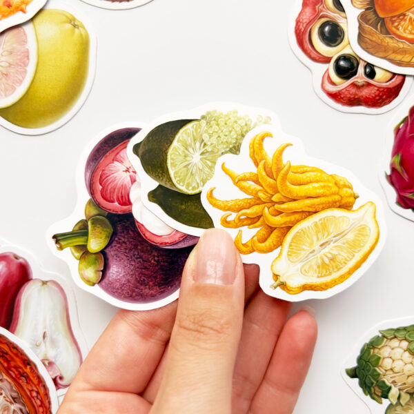 Tuhaf Meyveler sticker seti, egzotik meyve çizimleri içeren vinil etiketler