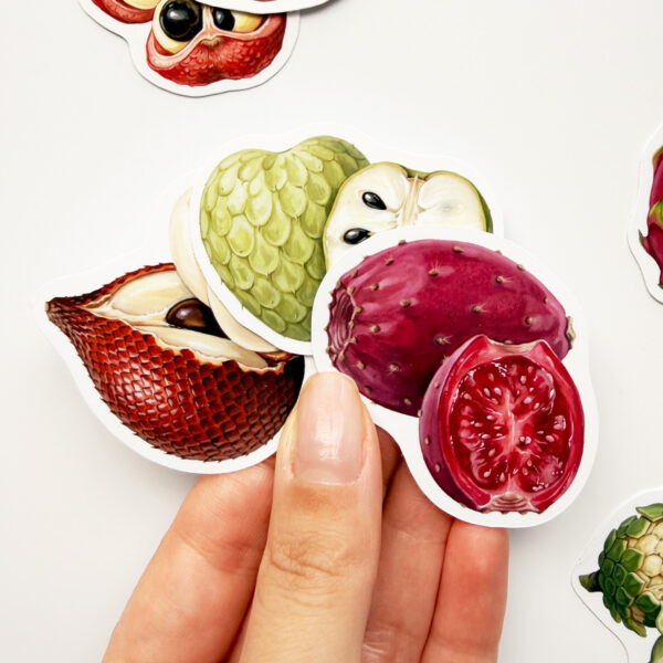Tuhaf Meyveler sticker seti, egzotik meyve çizimleri içeren vinil etiketler