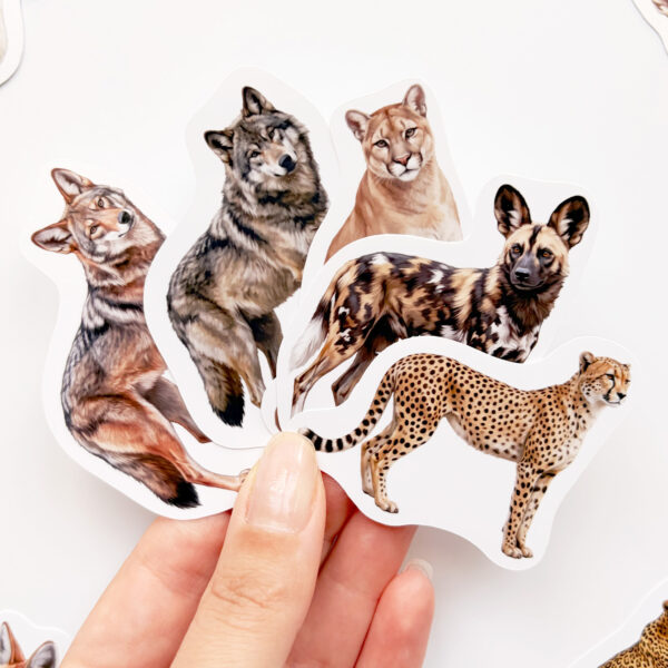 Baprile Yırtıcı Hayvanlar Sticker Seti 24 Adet Vinil Etiket