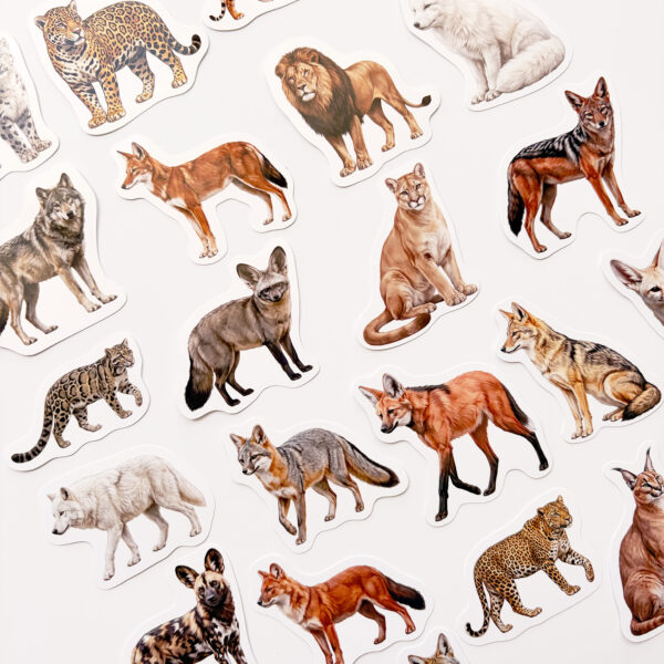 Baprile Yırtıcı Hayvanlar Sticker Seti 24 Adet Vinil Etiket