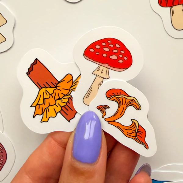 Renkli Mantarlar 30 parça suya dayanıklı parlak vinil sticker seti