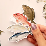 Balıklar 30 adet suya dayanıklı sticker paketi