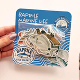 Balıklar 30 adet suya dayanıklı sticker paketi