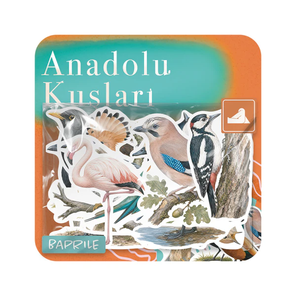 Baprile Anadolu Kuşları 25 adet suya dayanıklı parlak vinil sticker paketi, kuş tasarımları