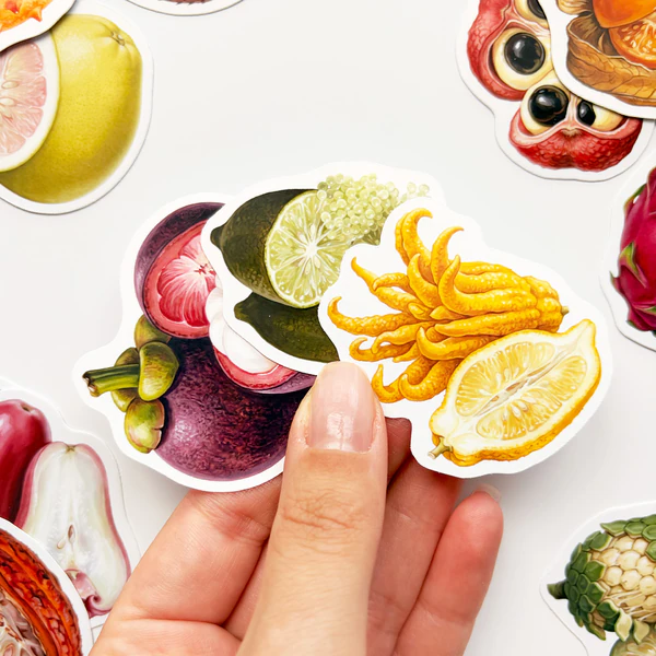 Tuhaf Meyveler sticker seti 22 adet egzotik meyve çıkartması